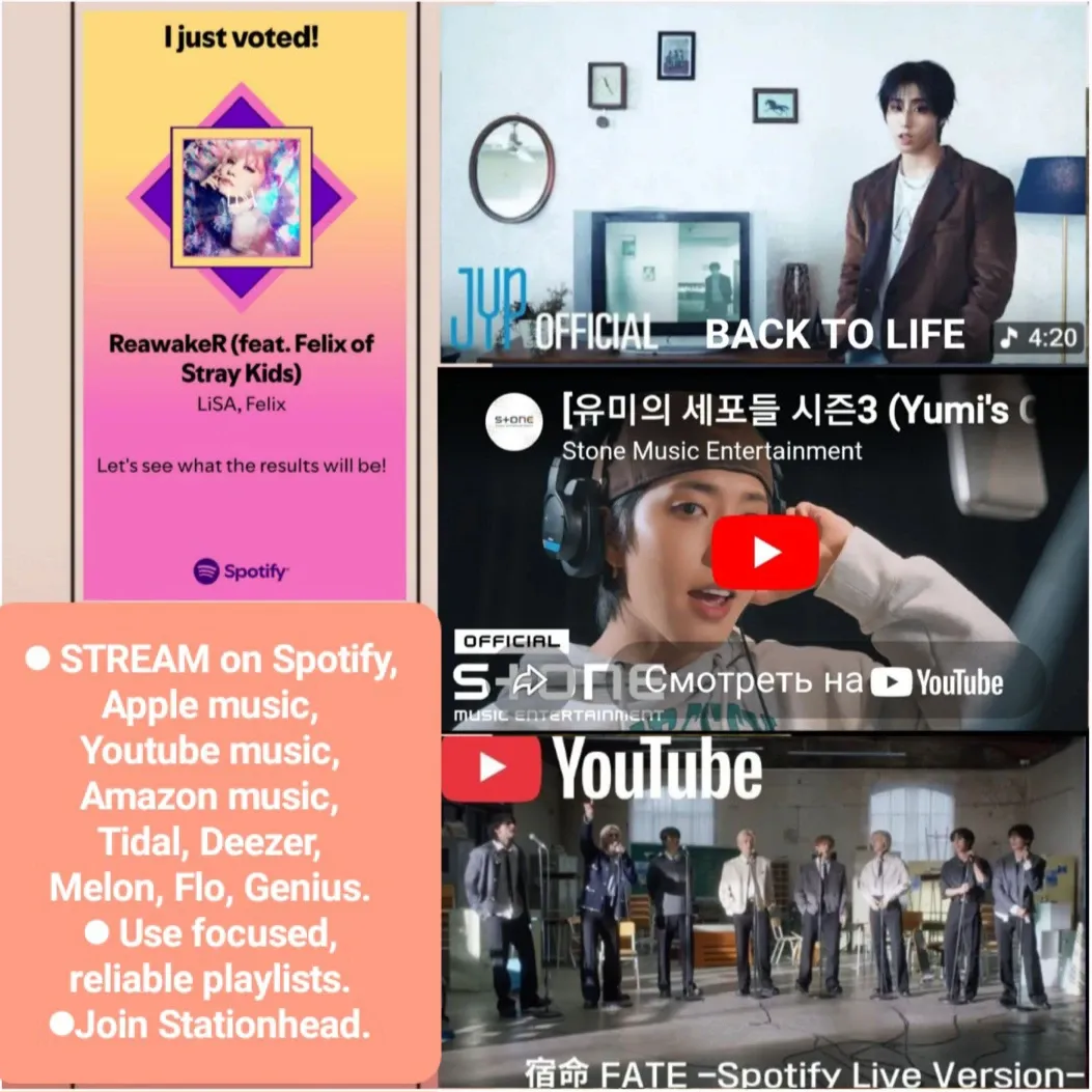 Stray Kids 최근 활동샷