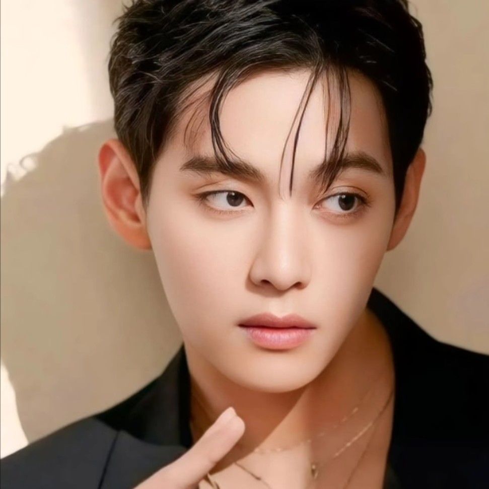 V (防弹少年团)粉丝拍下的瞬间