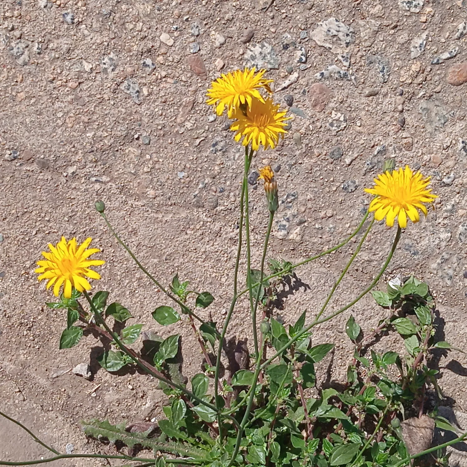 A moment captured by Moonbin (ASTRO)'s fan