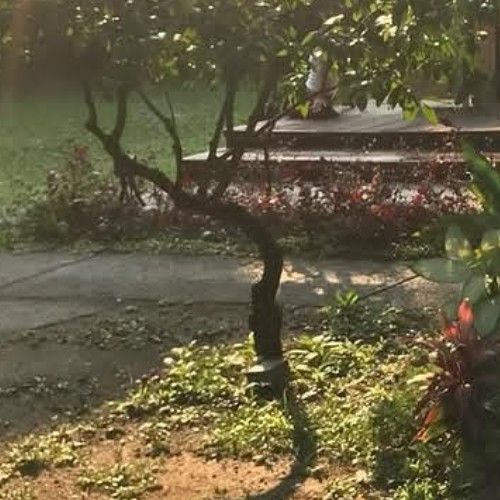 受珍 (Weeekly)的最新活動照片