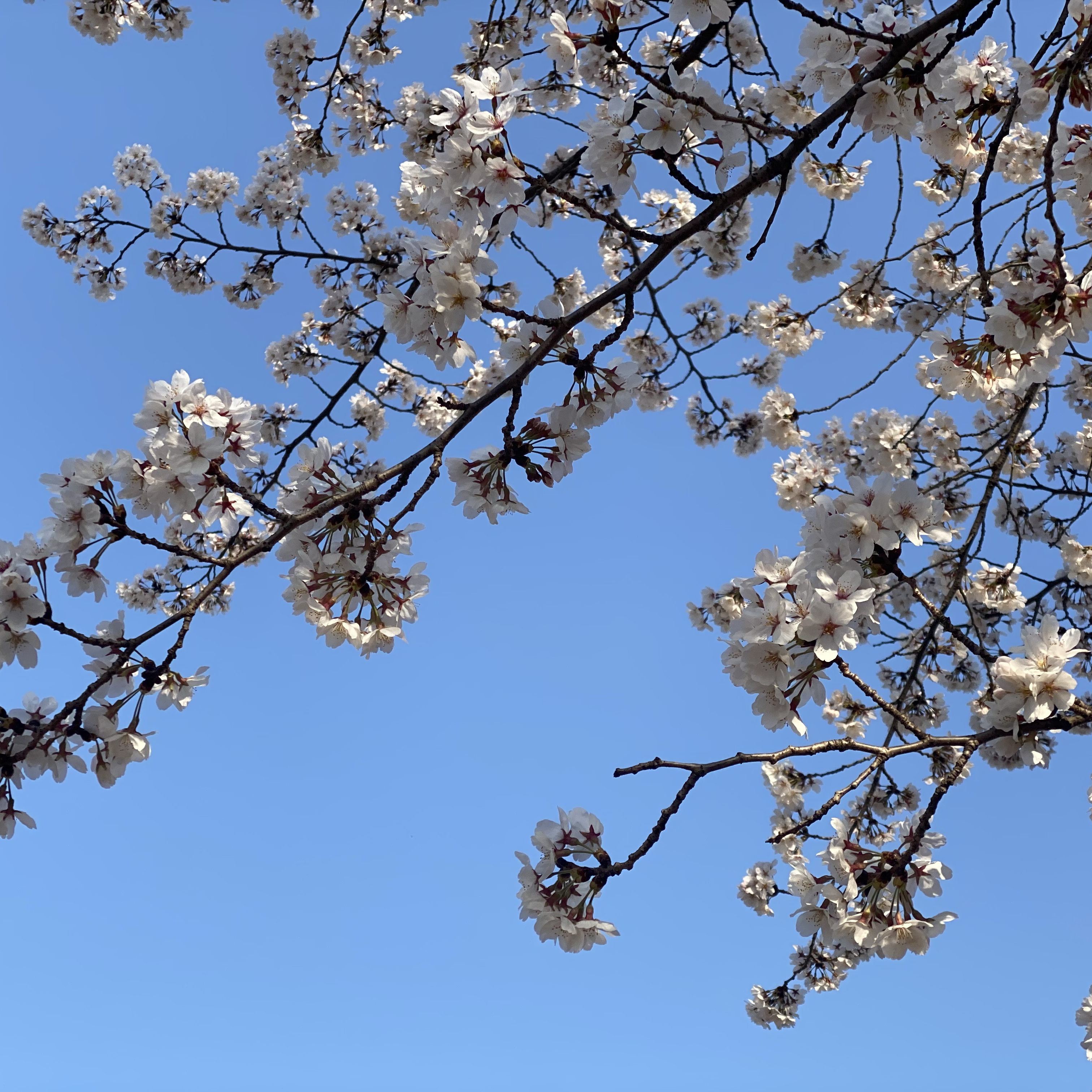 BTSの最近の活動写真