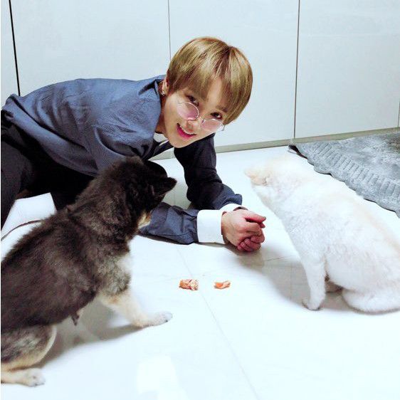 슈퍼주니어의 비하인드 컷