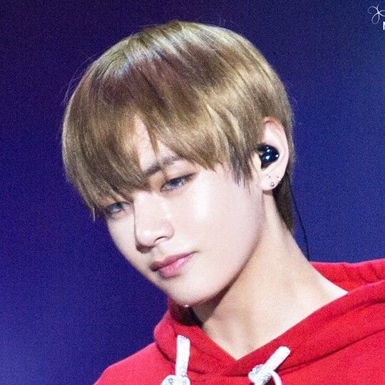 V (BTS)ファンが撮った瞬間