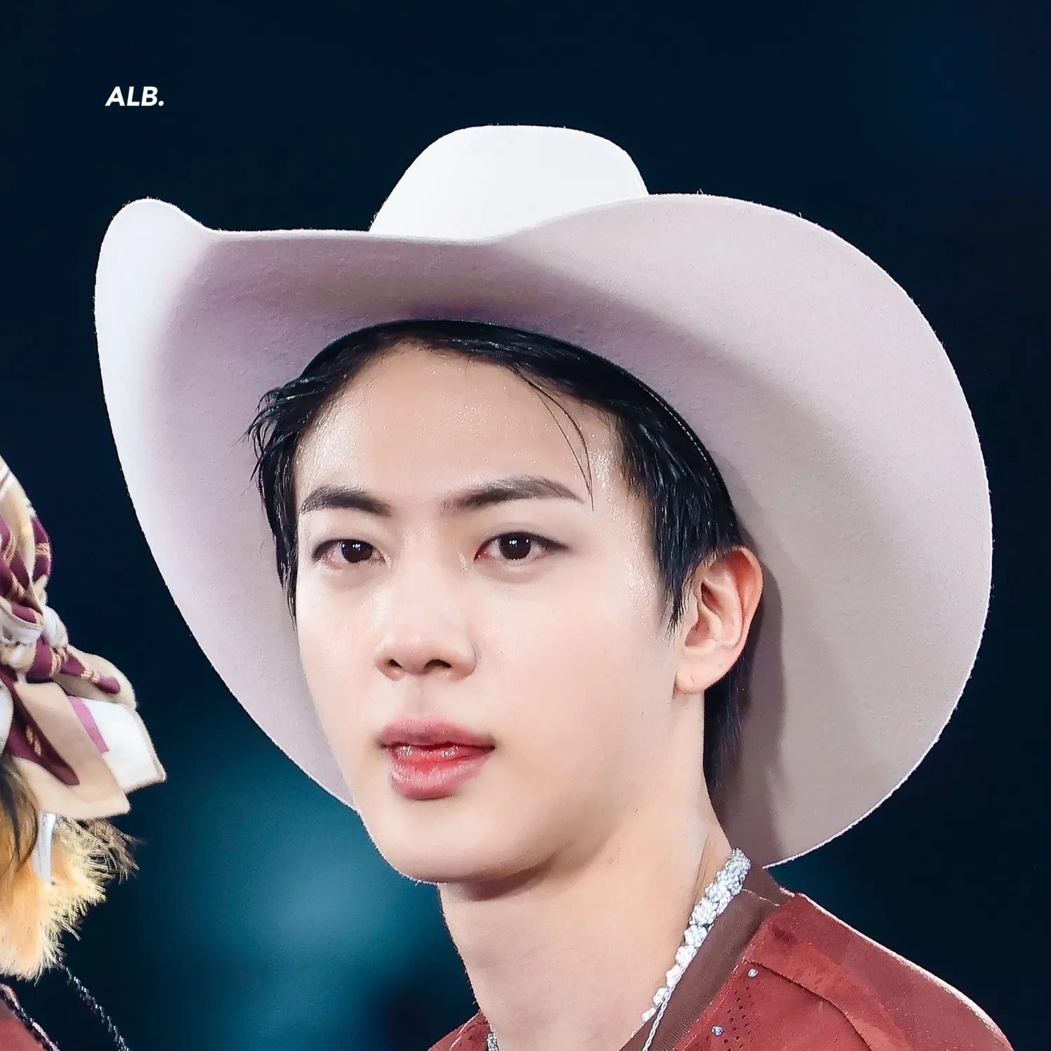 진 (방탄소년단) 팬이 찍은 순간