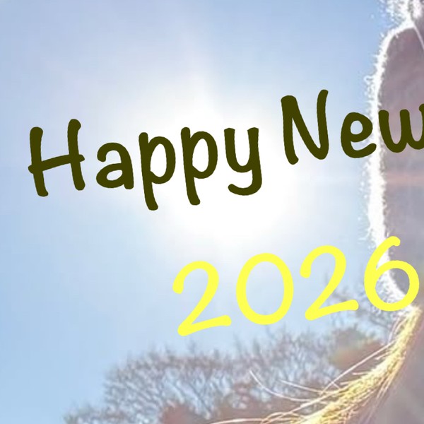 Popular profile image of Rio (NiziU) selected by votes