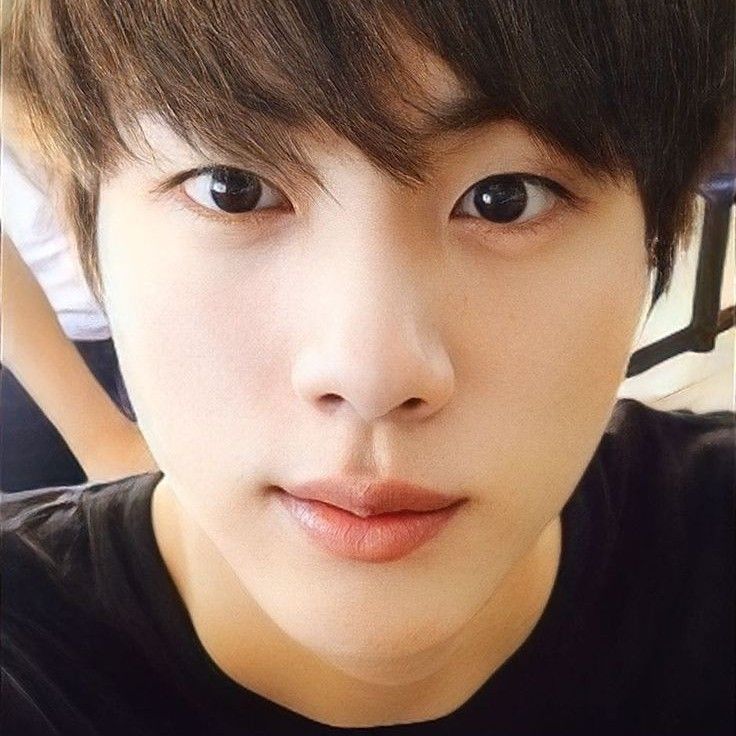 ジン (BTS)ファンが撮った瞬間