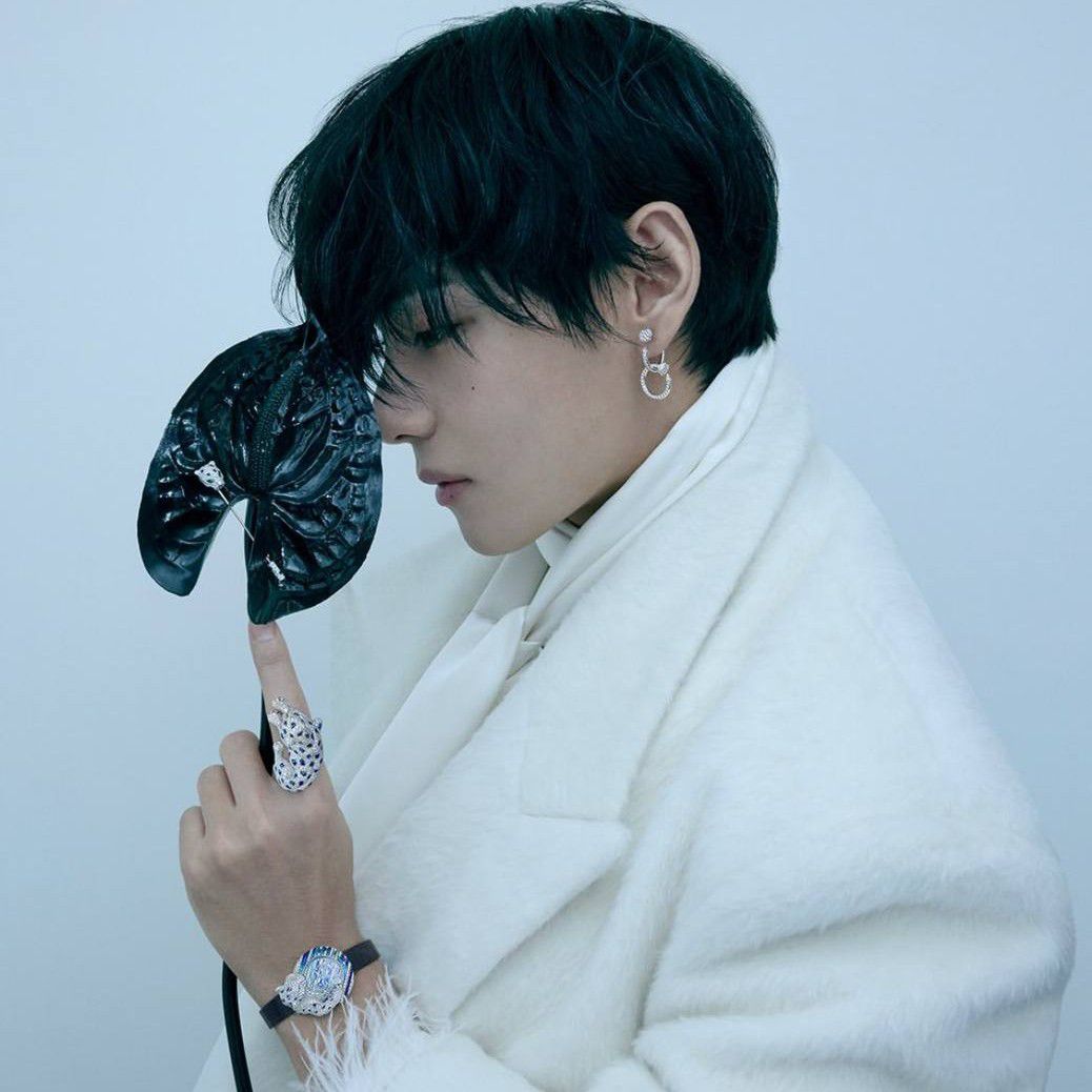 Potret di balik layar V (BTS)