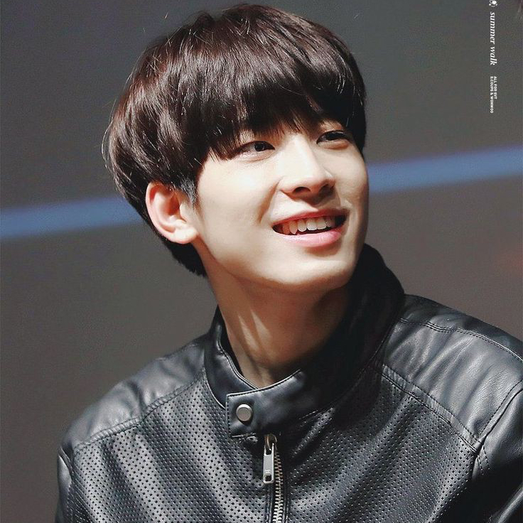 Recent activity shot of Wonwoo (SEVENTEEN)