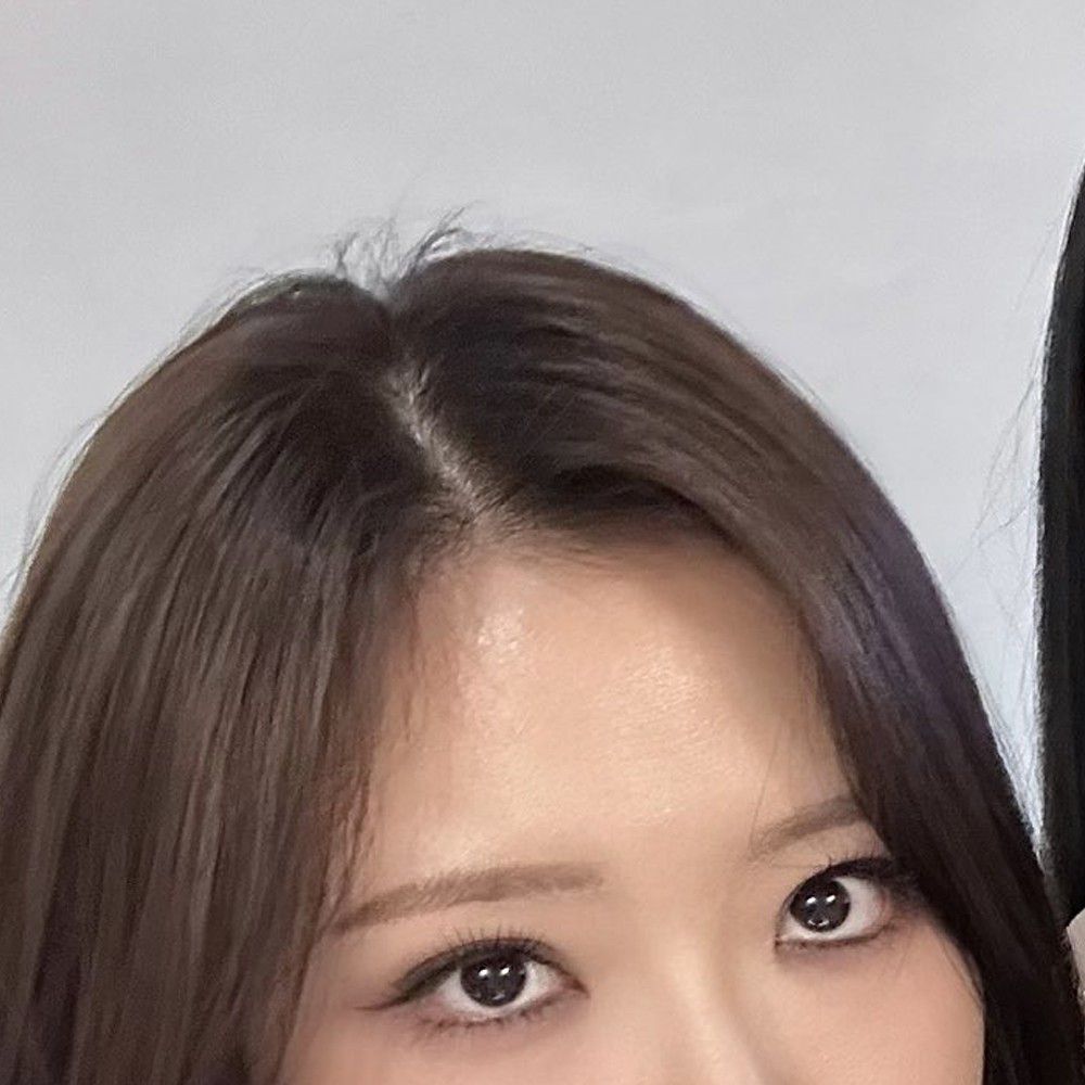 Recent activity shot of Loossemble