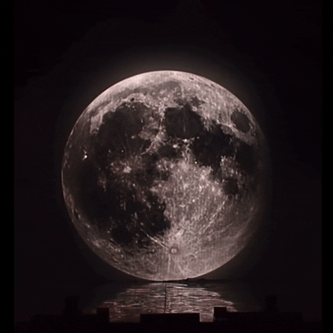 Recent activity shot of Moonbin (ASTRO)