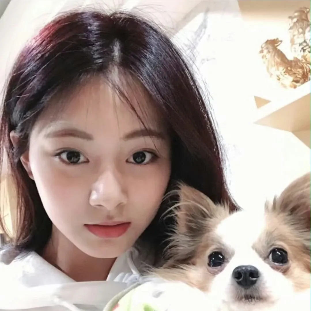 쯔위 (TWICE)의 최신 사진