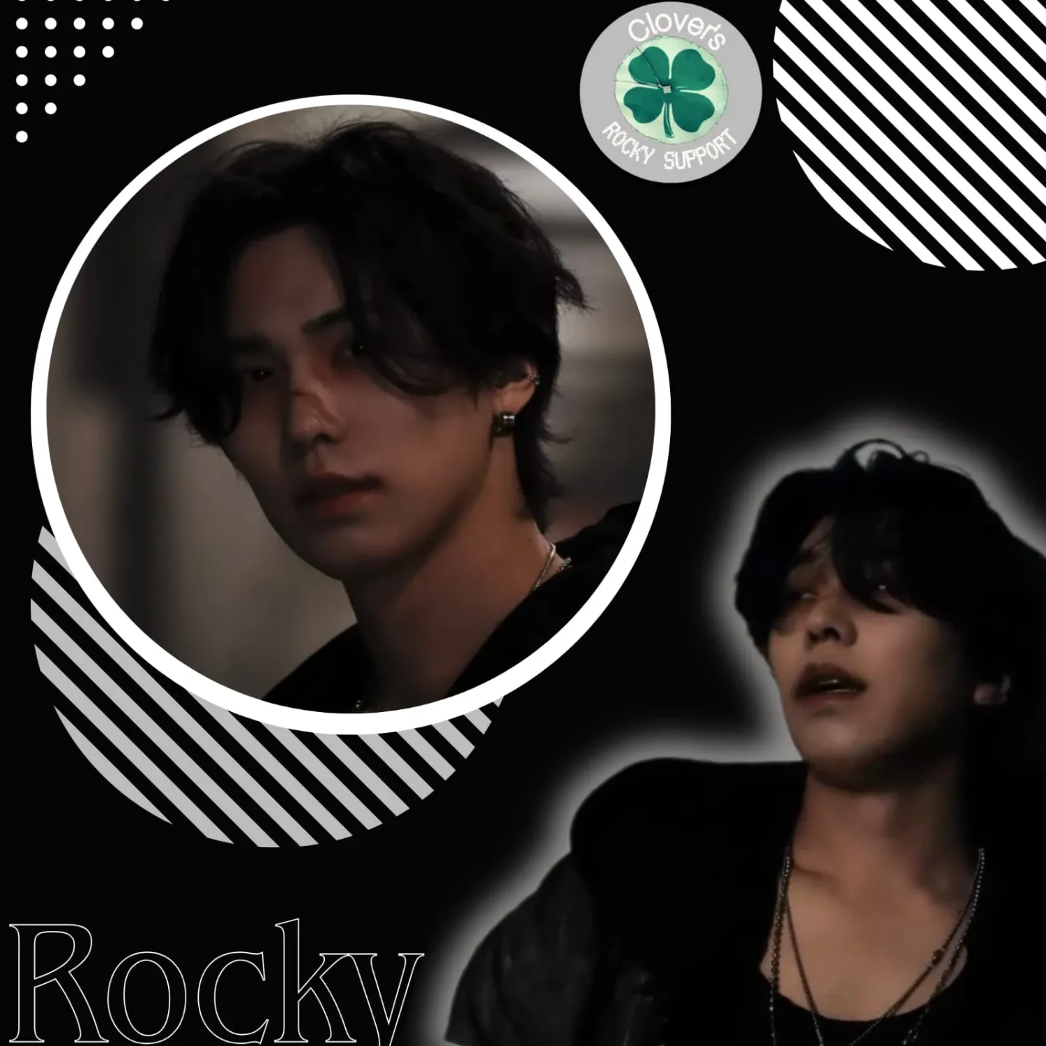 Recent activity shot of Rocky