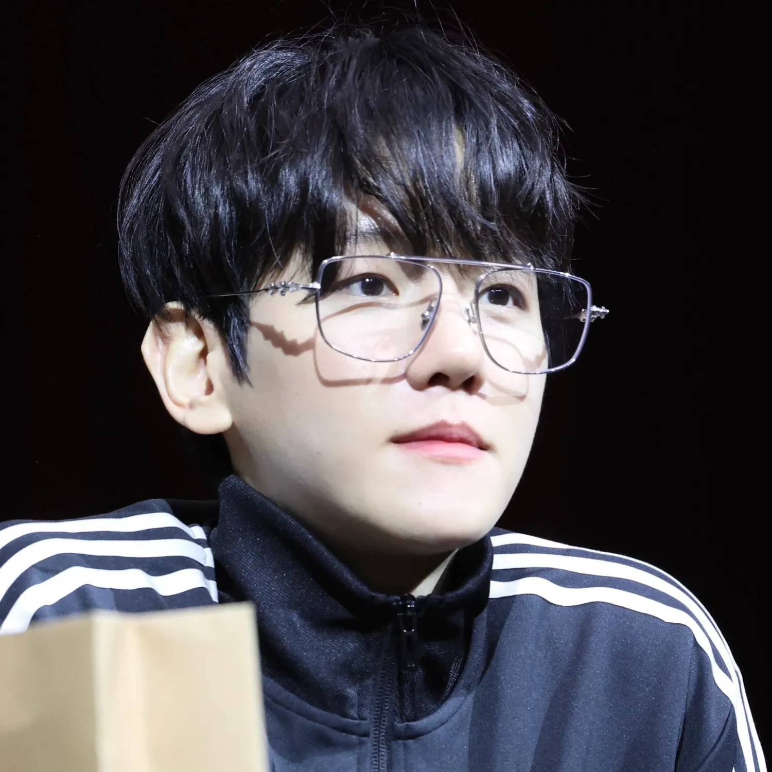 伯賢 (EXO)的幕後花絮