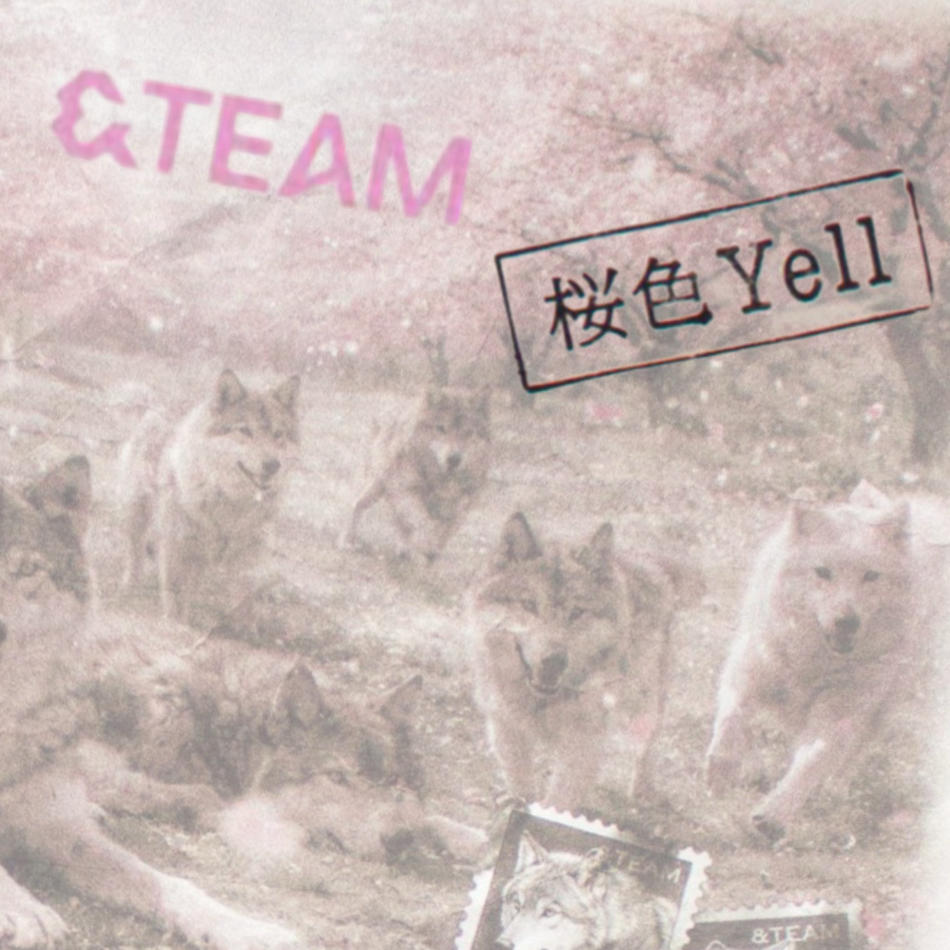 A moment captured by Harua (&TEAM)'s fan