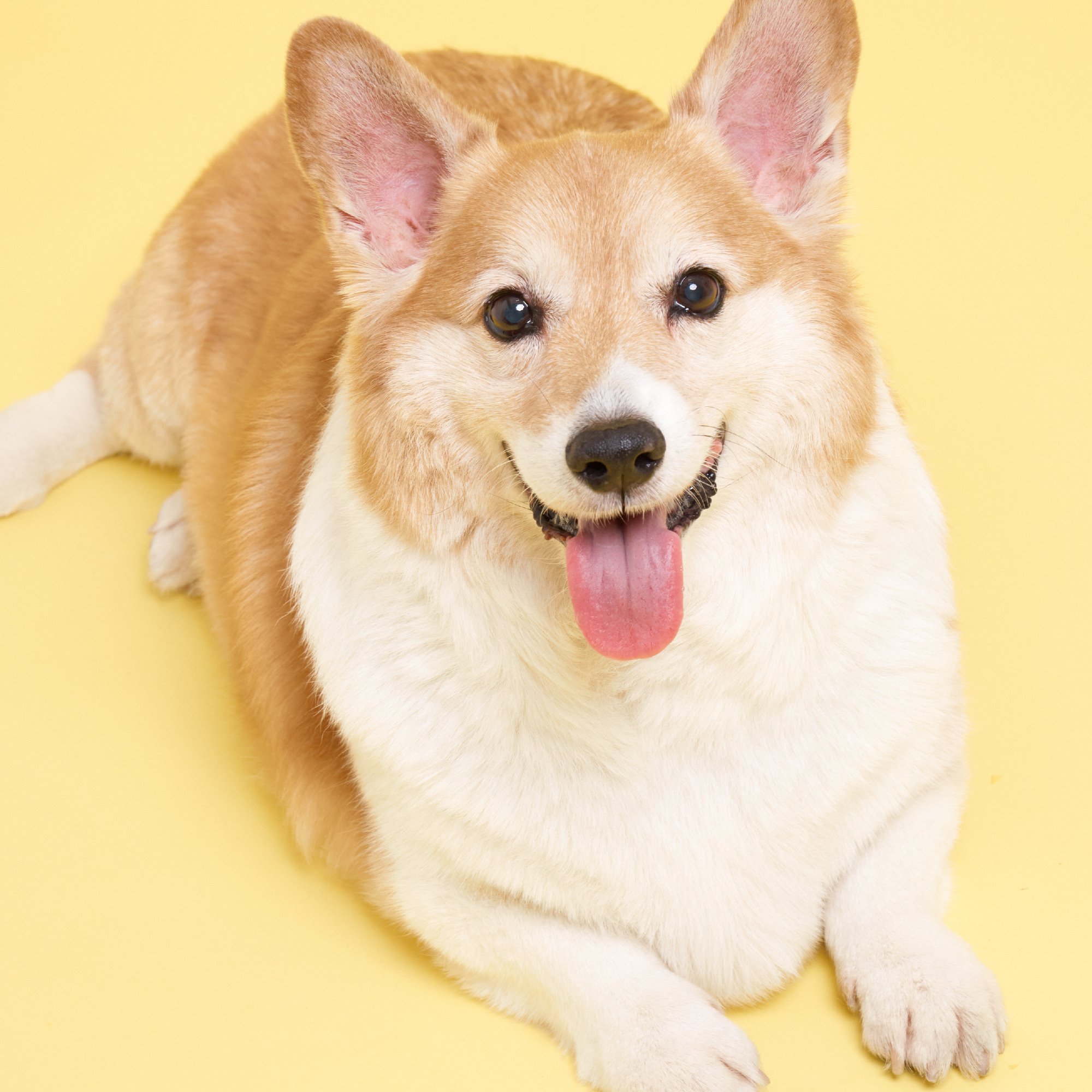 EXO粉絲拍下的瞬間