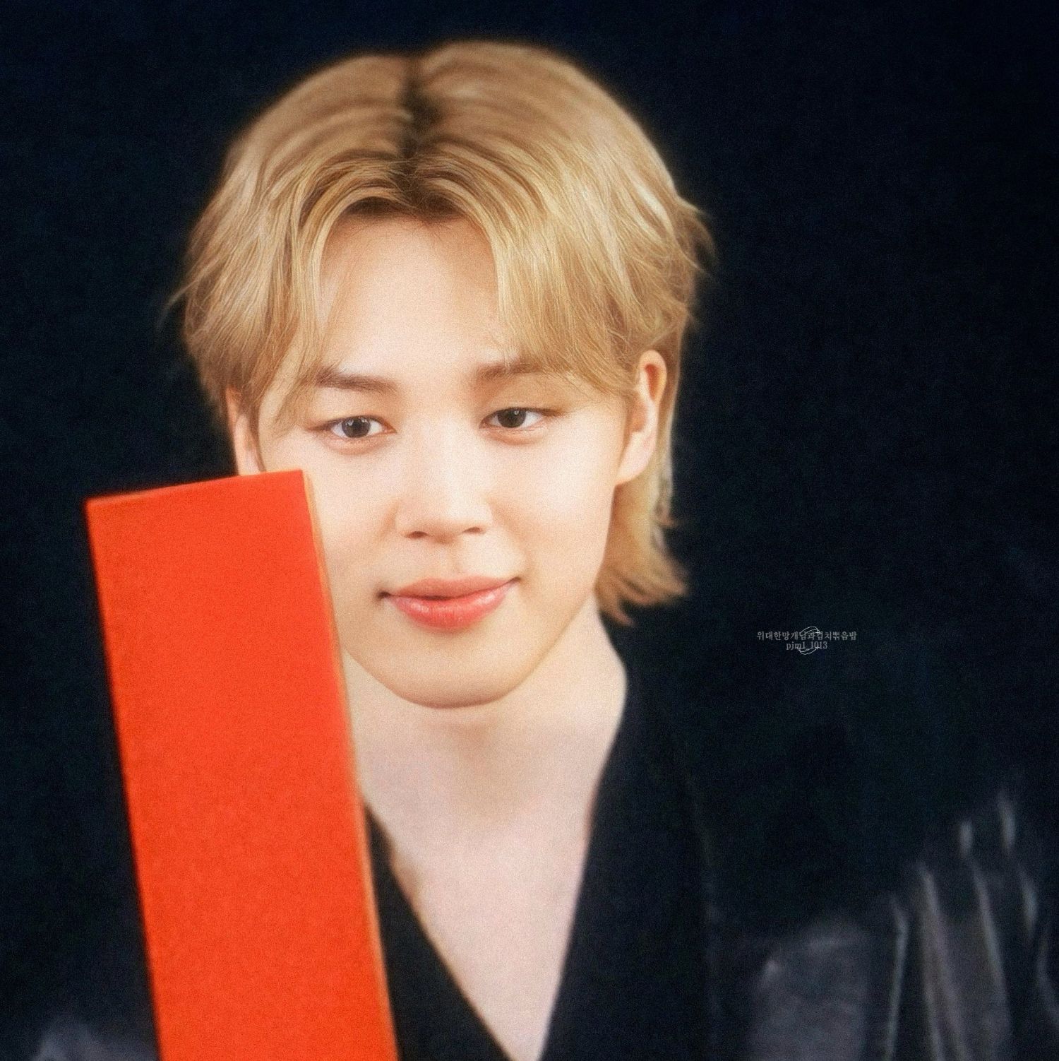 지민 (방탄소년단) 팬이 찍은 순간