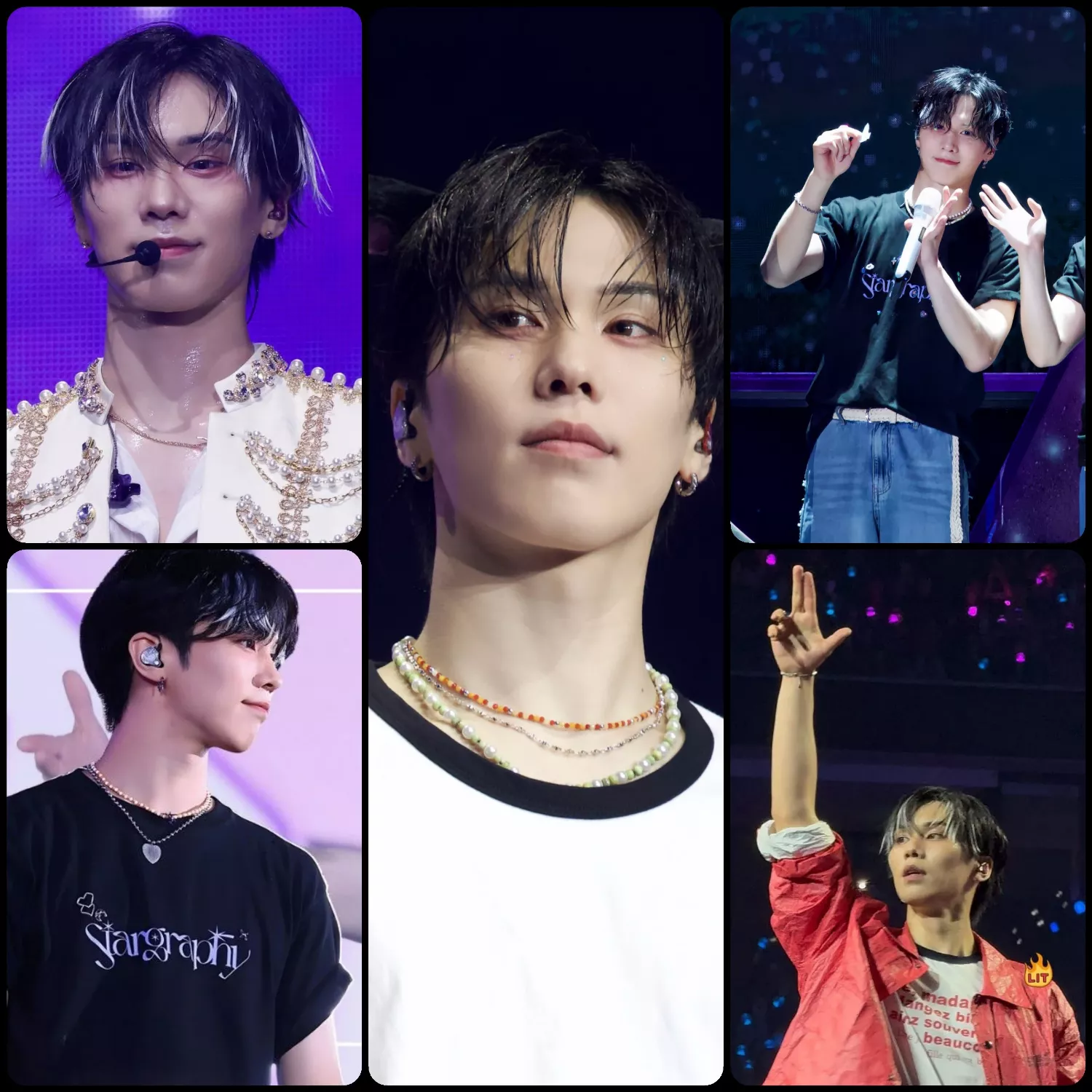 Latest photo of Rocky