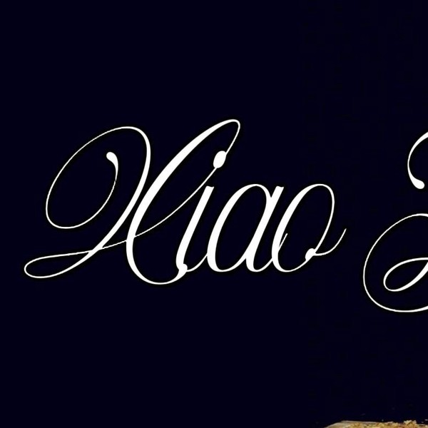 Popular profile picture of Xiao Zhan loved by fans