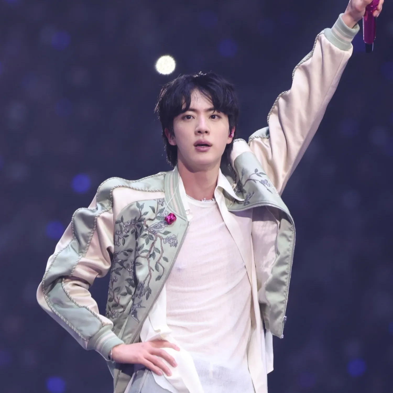 진 (방탄소년단) 팬이 찍은 순간