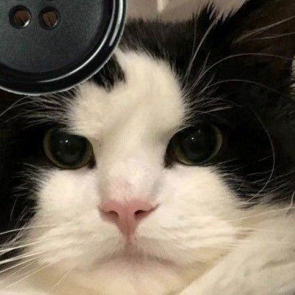 방탄소년단 팬이 찍은 순간