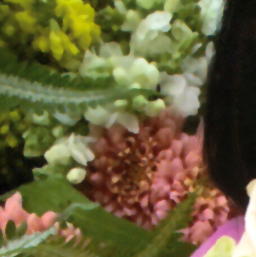 A moment captured by HyunJin (Loossemble)'s fan