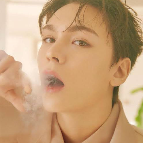 Potret di balik layar Vernon (SEVENTEEN)