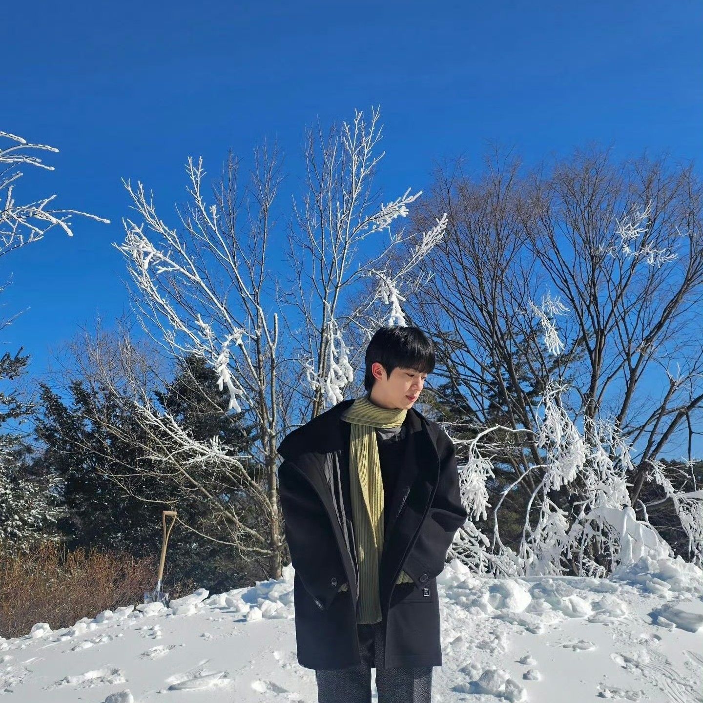 Latest photo of Jin (BTS)