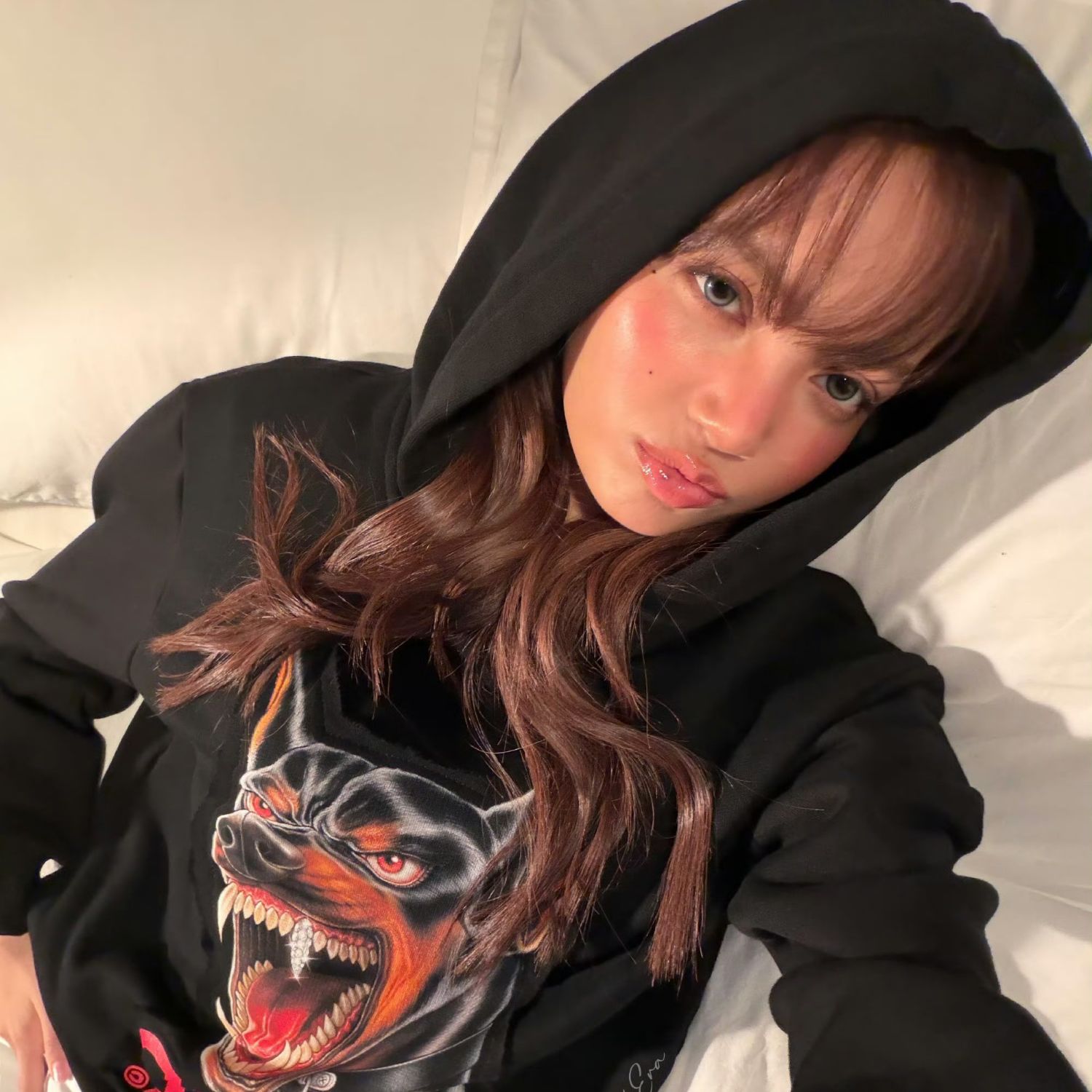 Potret di balik layar Lisa (BLACKPINK)