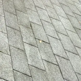 Recent activity shot of Donghwa (KickFlip)