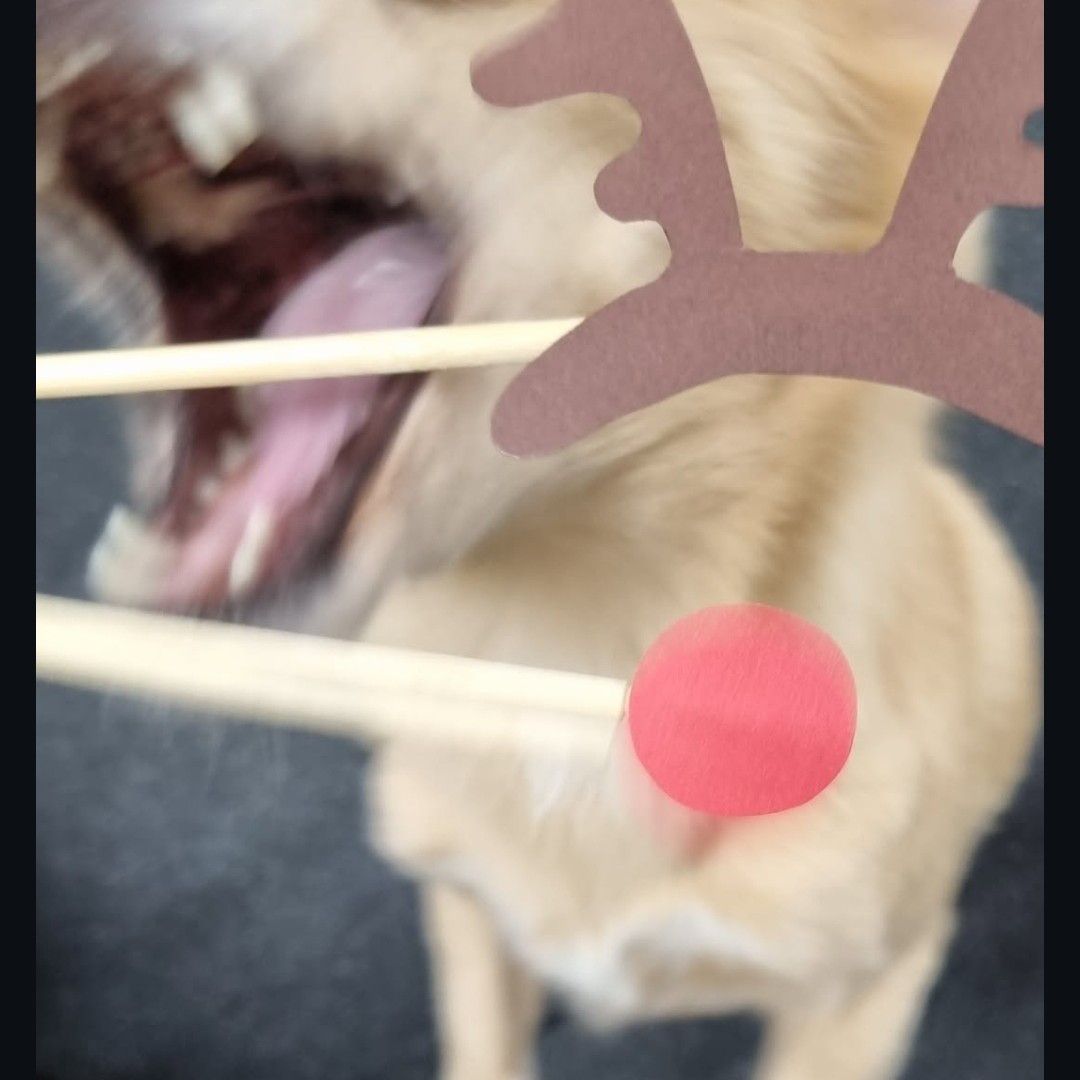 쯔위 (TWICE) 팬이 찍은 순간