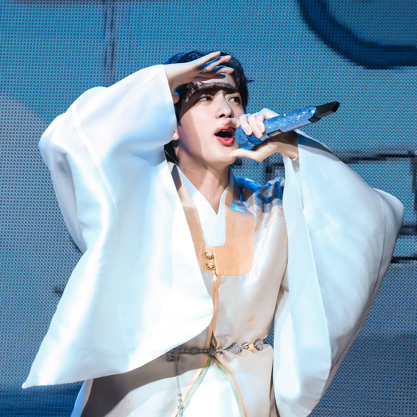 진 (방탄소년단) 팬이 찍은 순간