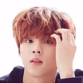 김우석의 최신 사진