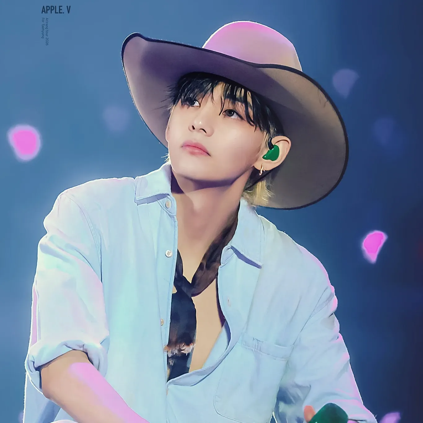 뷔 (방탄소년단) 팬이 찍은 순간