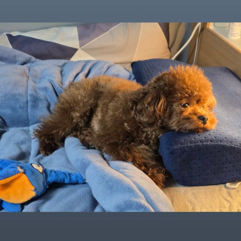 Recent activity shot of Wow (A.C.E)