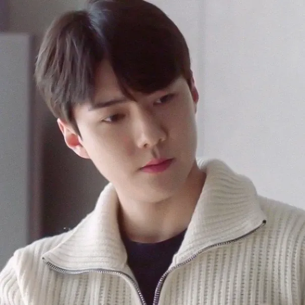 세훈 (EXO) 팬이 찍은 순간