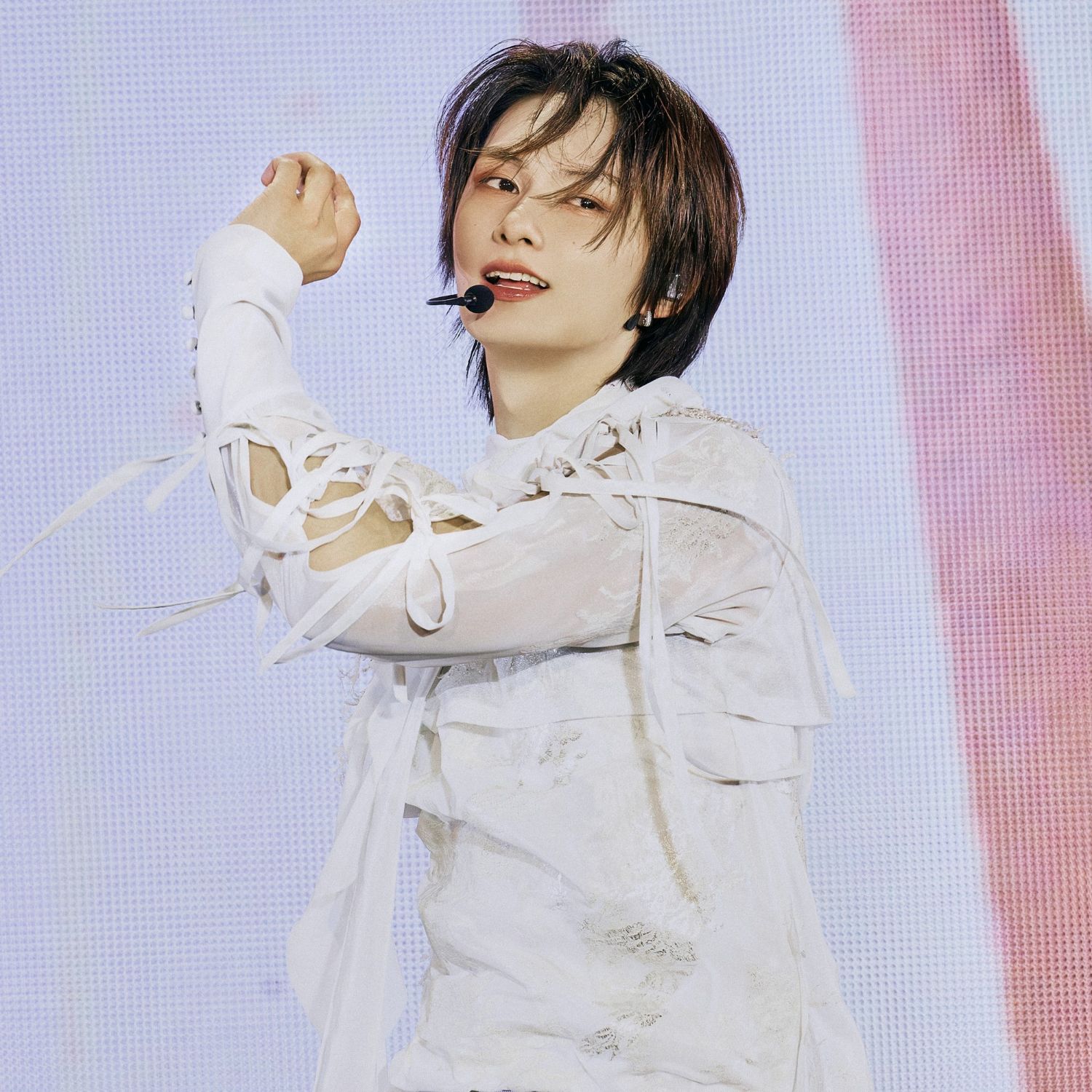 세븐틴 팬이 찍은 순간