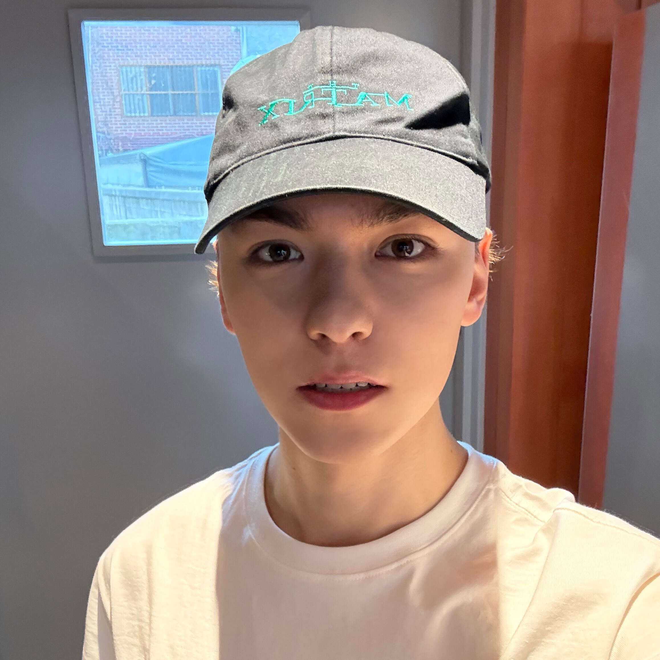 Momen yang diabadikan oleh penggemar SEVENTEEN