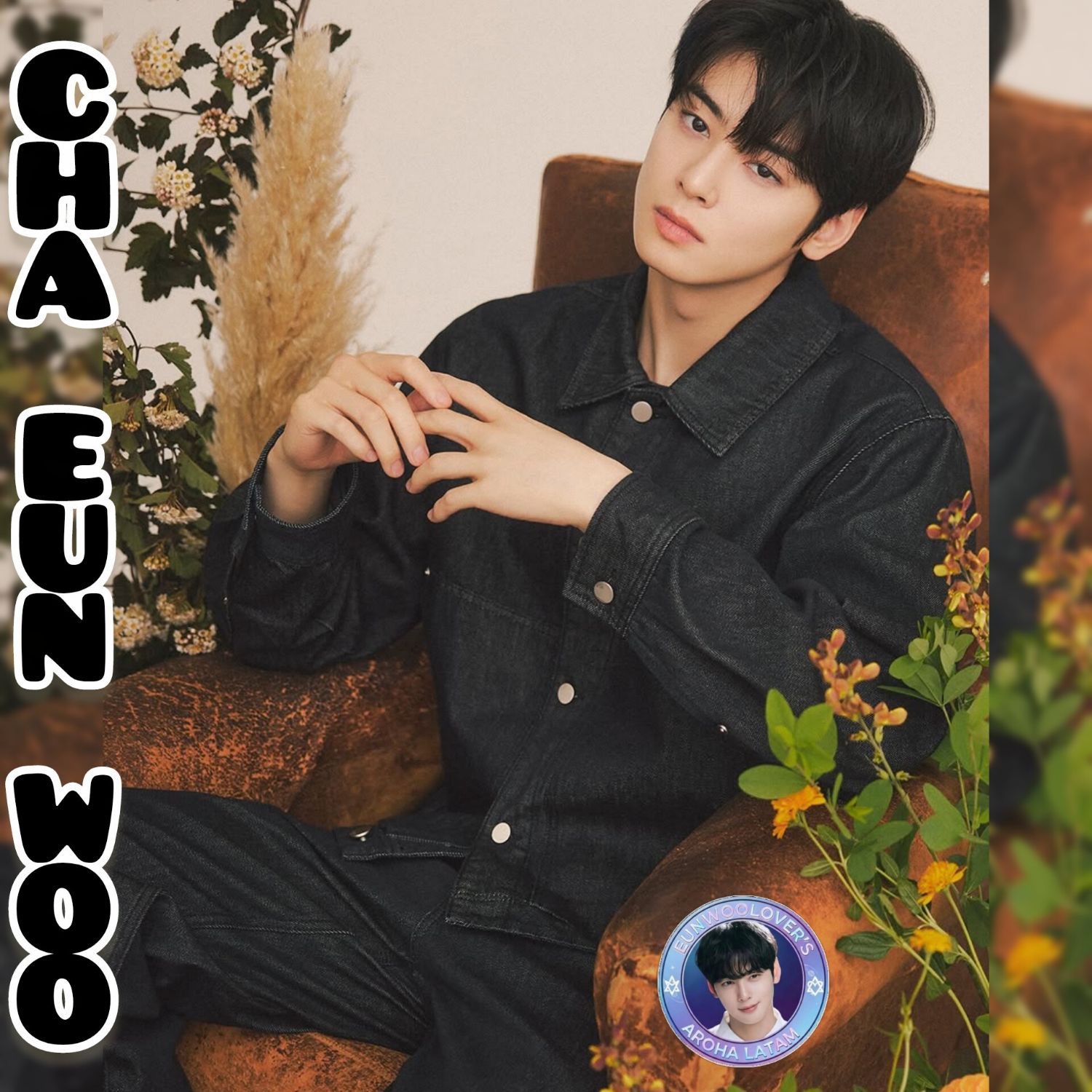 아스트로의 최신 사진