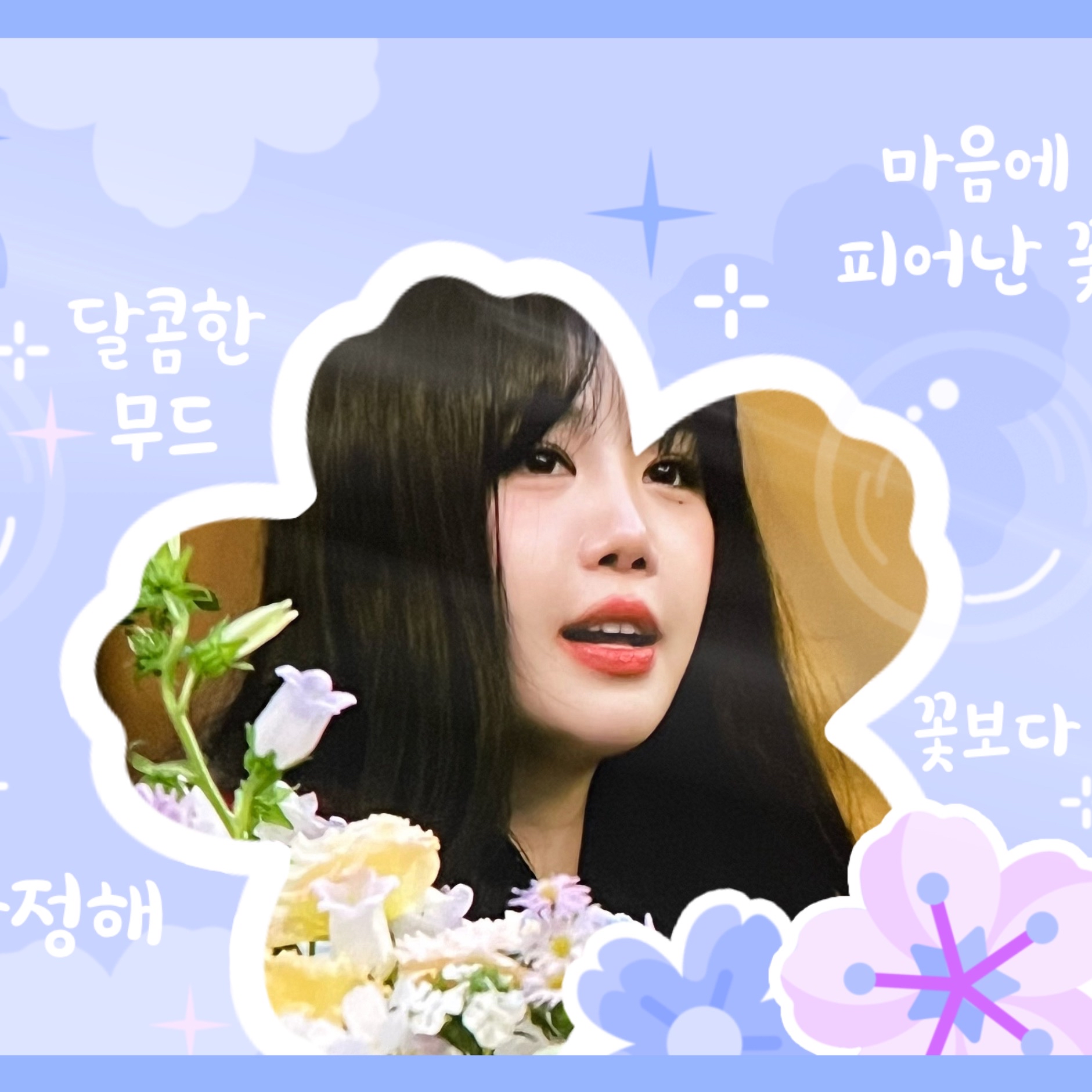 수진의 최신 사진