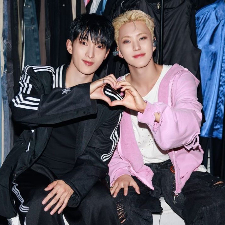 A moment captured by DK (SEVENTEEN)'s fan