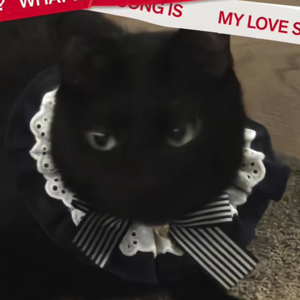 SUGA (防弹少年团)的幕后花絮