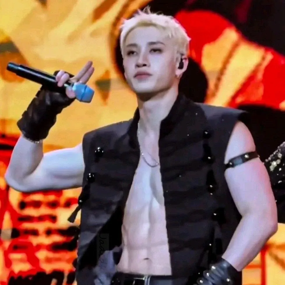 A moment captured by Bang Chan (Stray Kids)'s fan