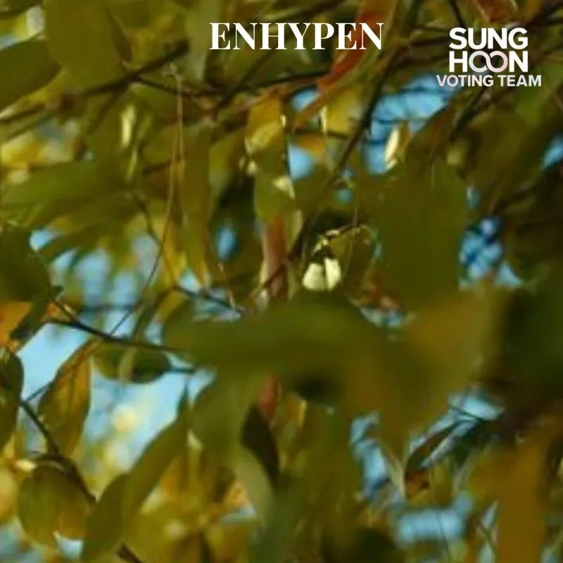 ソンフン (ENHYPEN)の最新写真