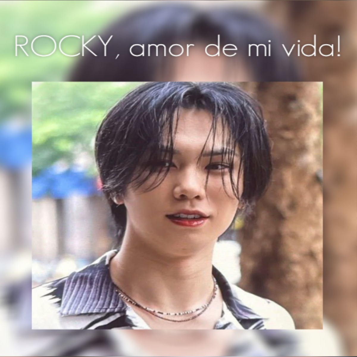 Latest photo of Rocky