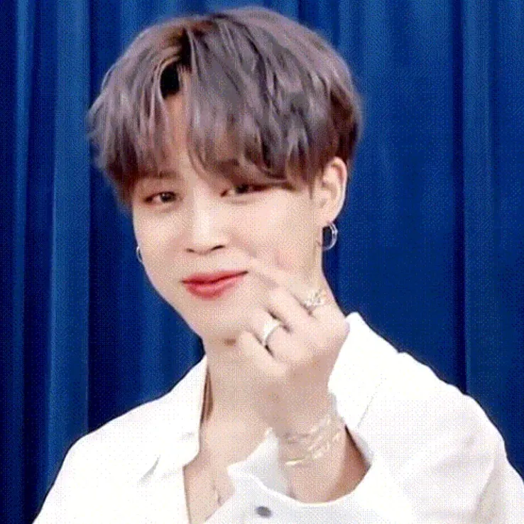 지민 (방탄소년단) 팬이 찍은 순간