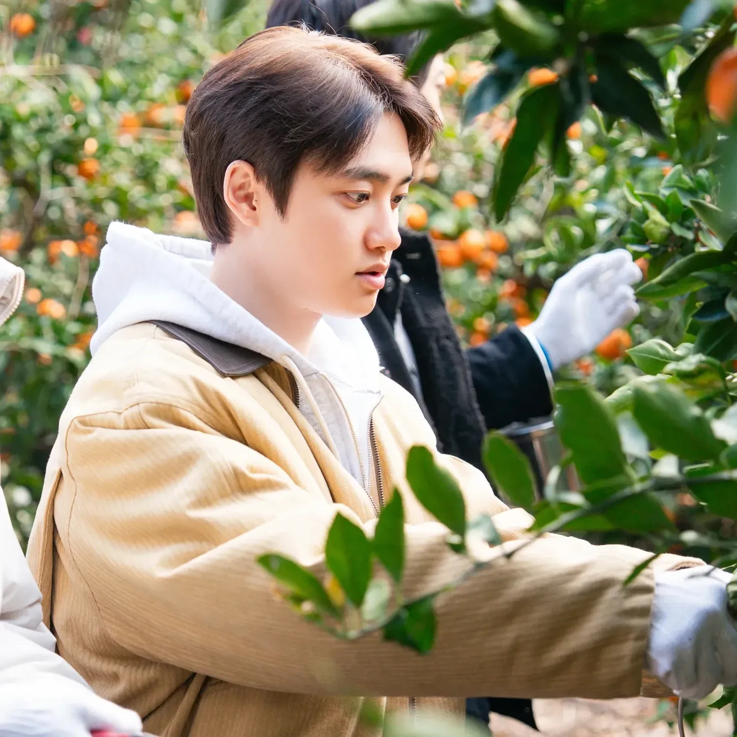 디오 (EXO) 팬이 찍은 순간