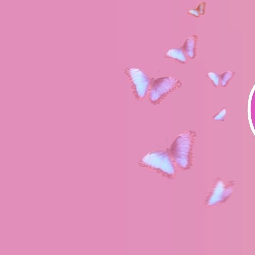 AleXaの最近の活動写真