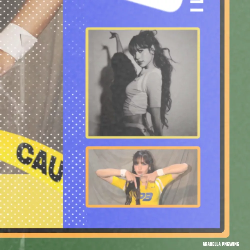 Potret di balik layar Lisa (BLACKPINK)