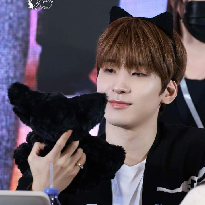 원우 (세븐틴) 최근 활동샷