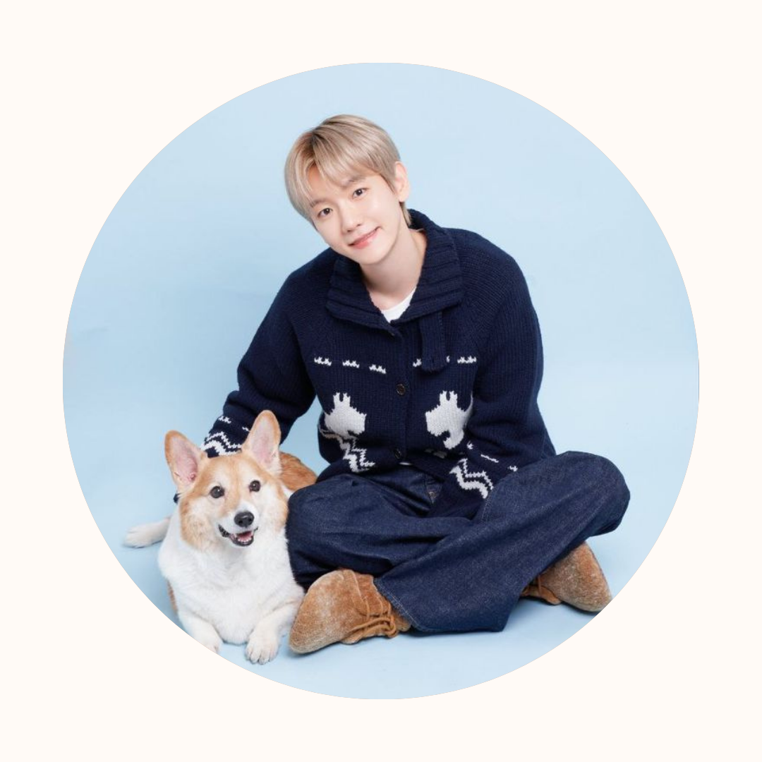 Recent activity shot of Baekhyun (EXO)